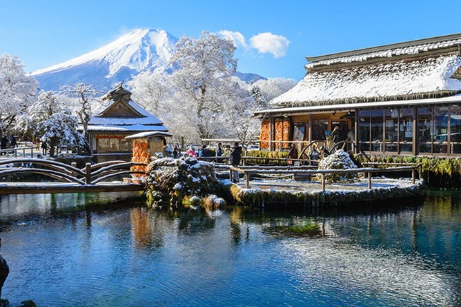 Mount Fuji & Hokane Lakes With English-Speaking Guide - Pricing