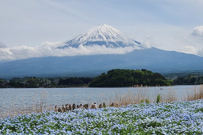 Mount Fuji Private One Day Tour With English Speaking Driver - Customer Reviews and Feedback