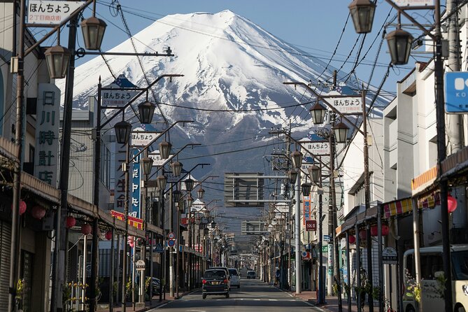 Mount Fuji Private Tour by Car - English Speaking Driver - Customer Reviews and Testimonials