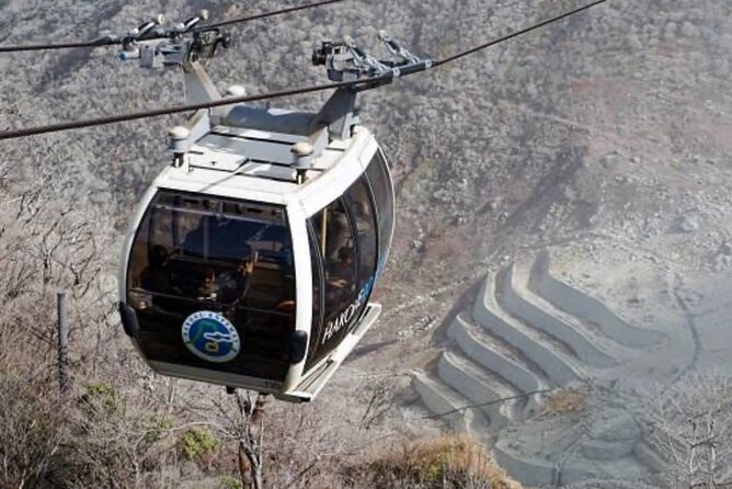 MT Fuji and Hakone Private Group Tour (Upto 9 Persons) by Hiace - Booking and Confirmation