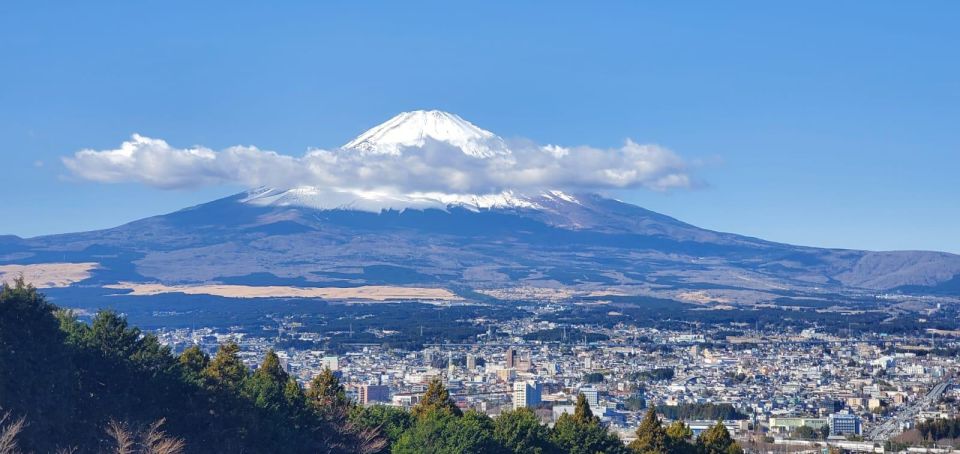 Mt Fuji and Hakone Private Tour With English Speaking Driver - Booking Process and Information