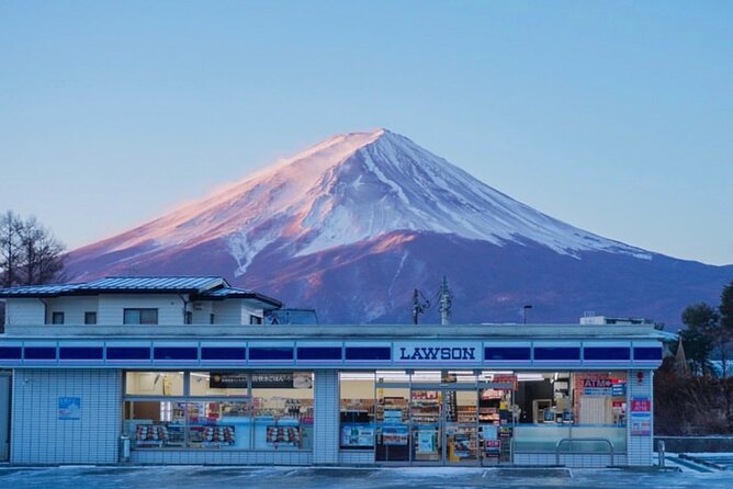 Mt. Fuji and Lake Kawaguchi Sakura Festival Sightseeing Tour - Additional Information for Participants