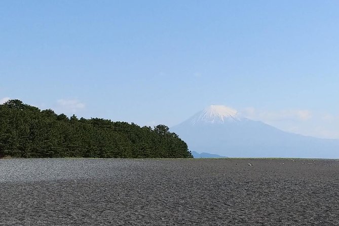 Mt.Fuji Chartered Taxi Tour - Meeting Point Details