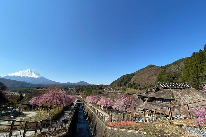 Mt Fuji Full-Day Tour By Car - Reviews