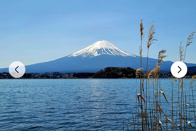 Mt. Fuji, Hakone Full-Day Private Tour With English Driver Guide - Inclusions and Exclusions