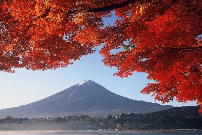 Mt Fuji, Hakone, Lake Ashi Cruise 1 Day Bus Trip From Tokyo - Customer Reviews