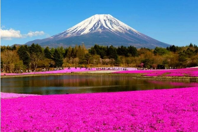 Mt Fuji, Hakone Private Tour by Car With Pickup - Transportation Options