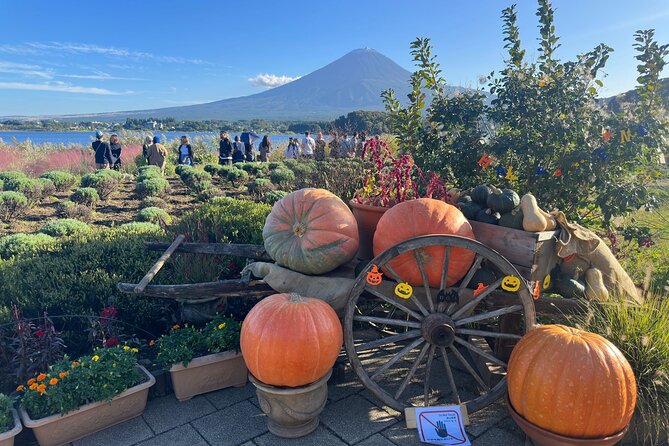 Mt. Fuji & Hakone Pvt. Day Tour With Pick & Drop. - Recap