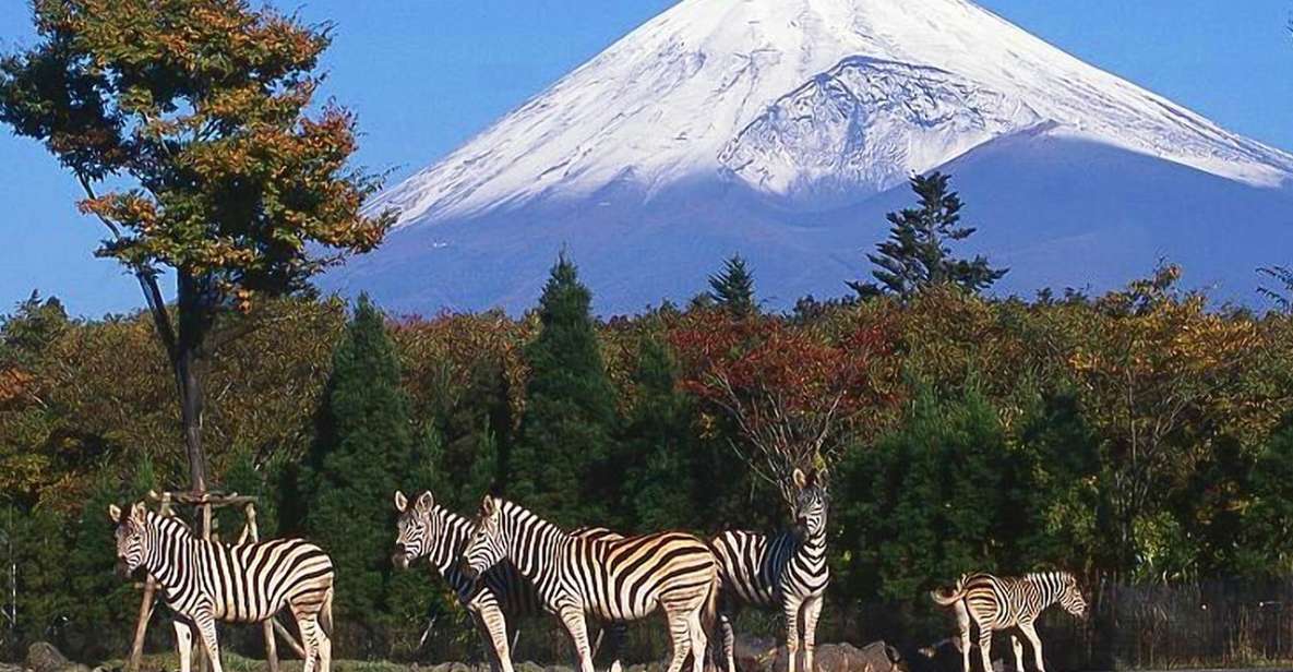 Mt Fuji : Highlight Tour and Unforgettable Experience - Customer Reviews