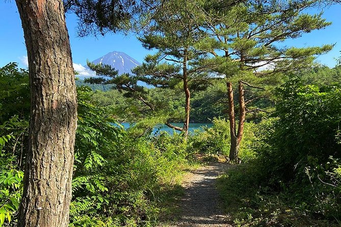 Mt Fuji Japanese Crafts Village and Lakeside Bike Tour - Inclusions Provided