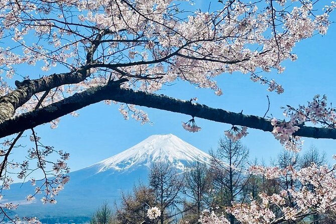 Mt. Fuji & Lake Kawaguchiko Private 1 Day Tour With Pick & Drop - Pick-up and Drop-off Locations