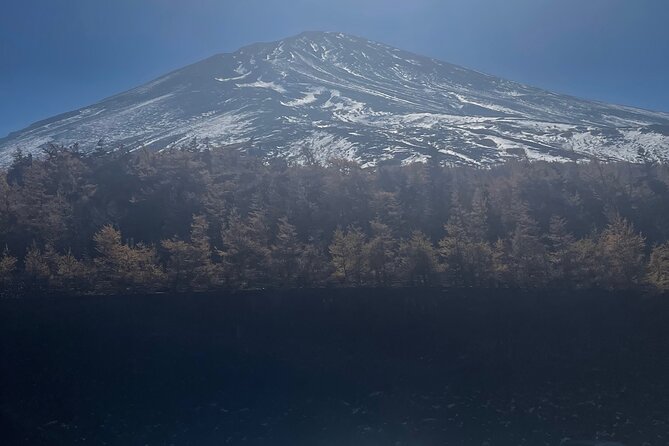 Mt. Fuji Private Tour With English Speaking Driver - Accessibility and Accommodations