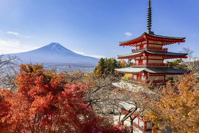 Mt. Fuji Roundtrip Tours From Shinjuku, Japan - Important Considerations