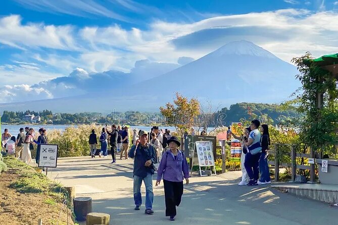 MT Fuji Sightseeing Customized Private Day Tour Up-to 9 Persons - Reviews Summary