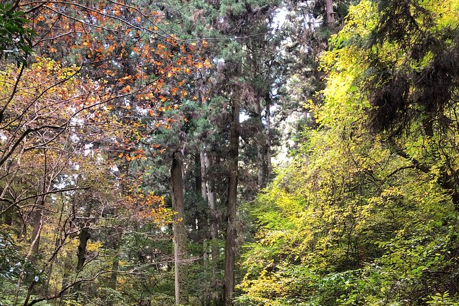 Mt. Takao Hiking Tour With Licensed Guide - Booking and Cancellation Policies