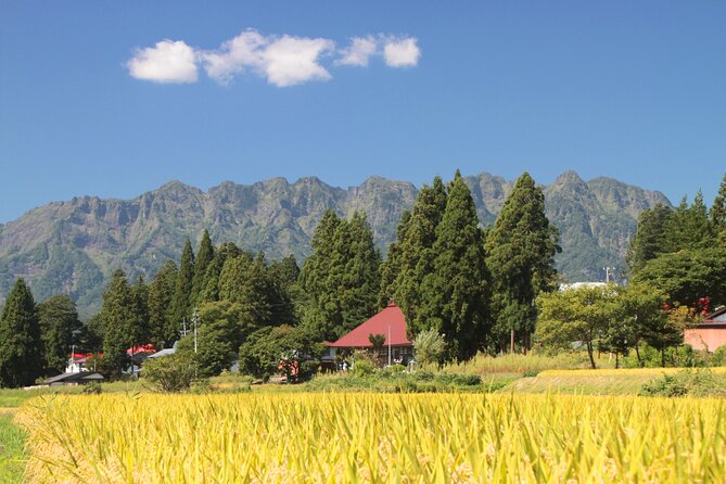 Nagano All Must-Sees Half Day Private Tour With Government-Licensed Guide - Directions for Participants