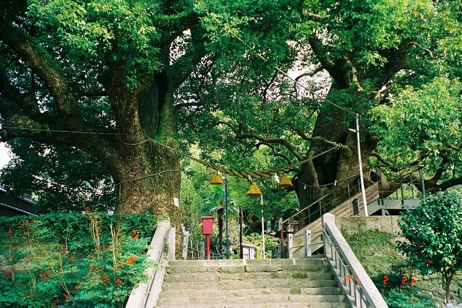 Nagasaki Peace Park and Atomic Bomb Museum - Tour Highlights and Itinerary