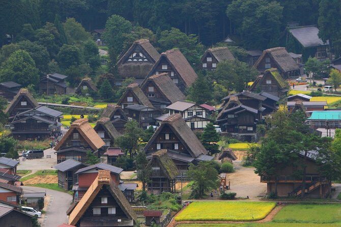 Nagoya to Hida Takayama & Shirakawago World Heritage Day Tour - Accessibility Information