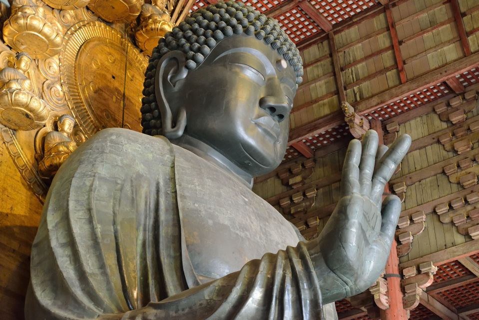 Nara: Audio Guide Delve Into Todai-Ji & Kasuga Taisha - Experience