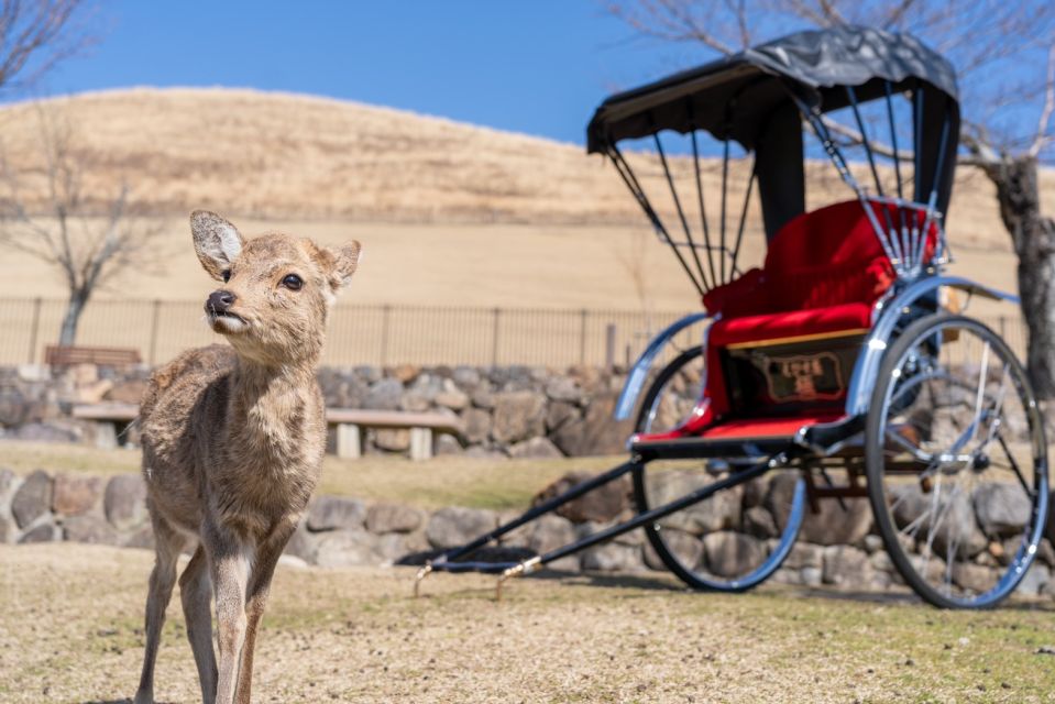 Nara: Cultural Heritage Tour by Rickshaw - Tour Options