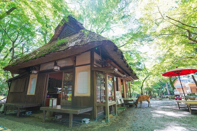 Nara Half Day Trip Walking Tour - Meeting and Pickup Details