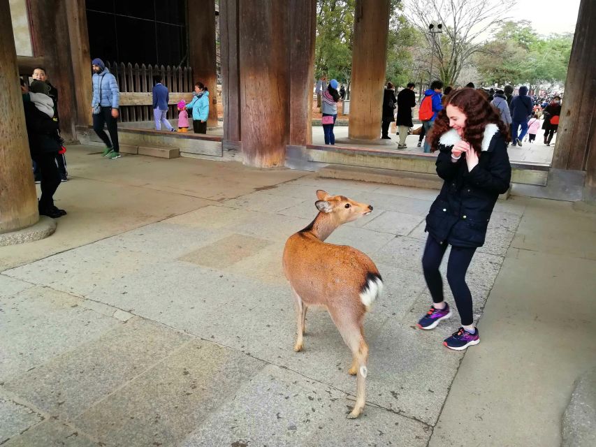Nara: Nara Park Private Family Bike Tour With Lunch - Starting Locations