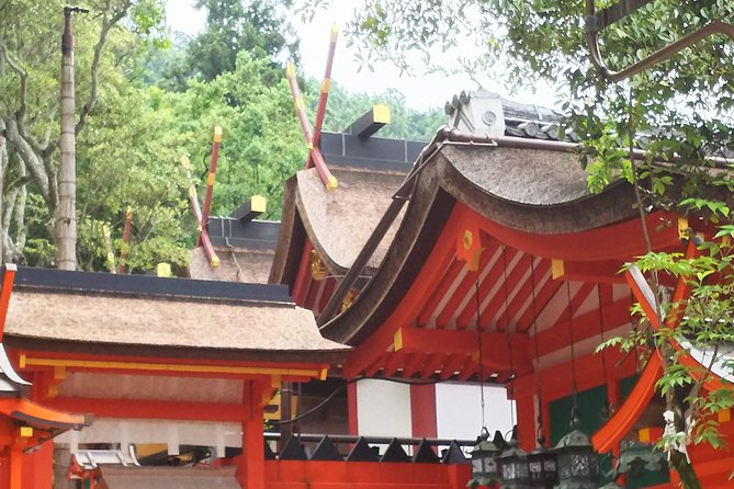 Nara Todaiji Lazy Bird Tour - Reviews and Feedback