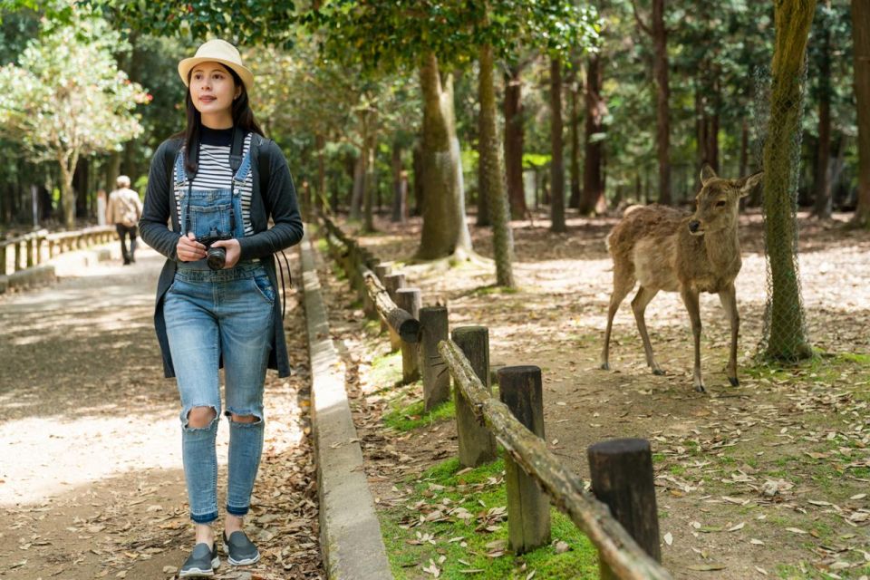 Nara's Historical Wonders: A Journey Through Time and Nature - Kasuga Taisha Shrine Experience