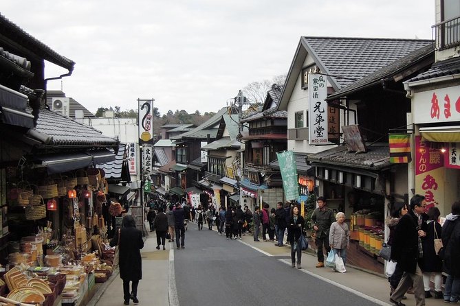 Naritasan Shinshoji Temple Before Your Flight - Inclusions