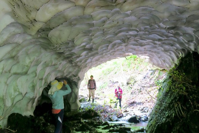 Nature Tour Around Waterfalls That Exudes From the Beech Forest Nishiwaga Town, Iwate Prefecture - Booking