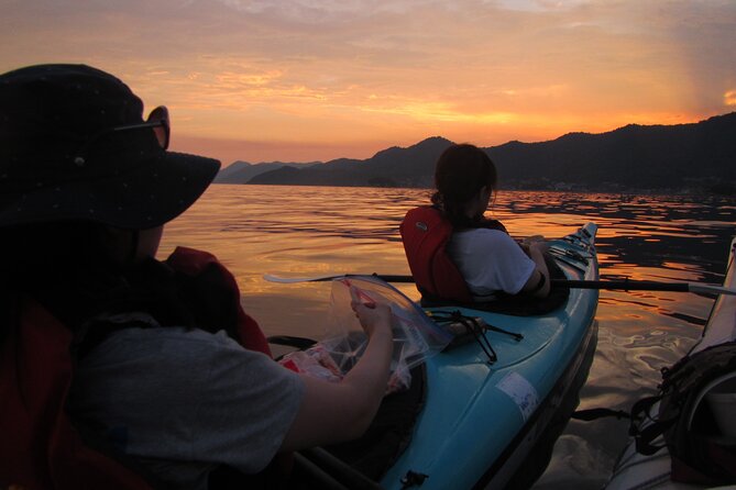 Night Kayak Tour Relax Under the Natural Glow of Sea Fireflies - Maximum Travelers and Price