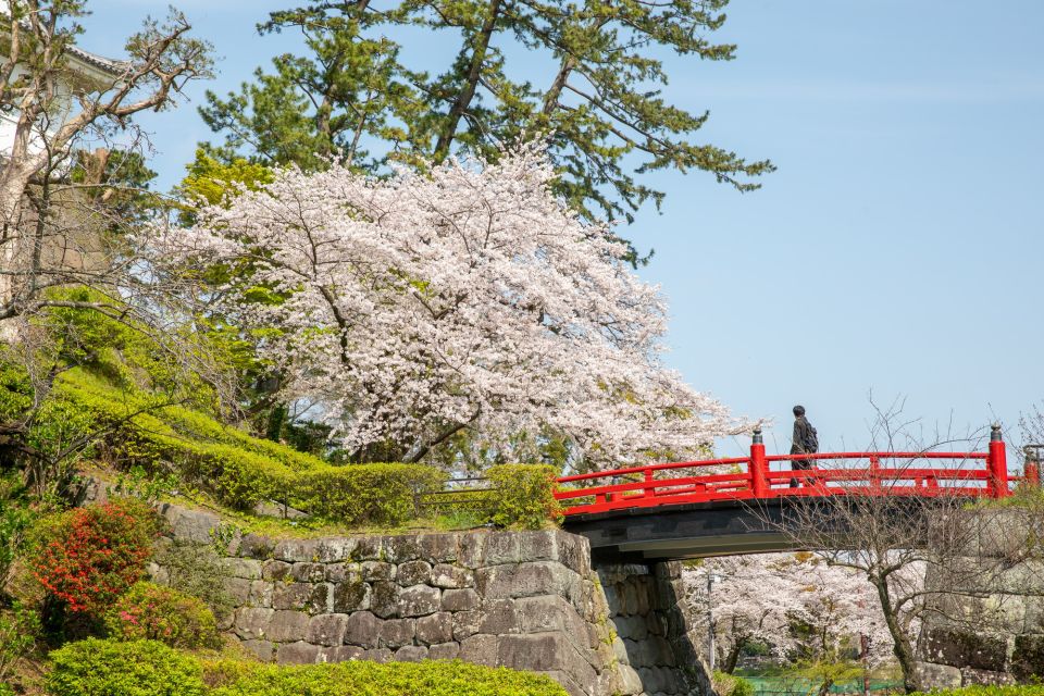 Odawara: Odawara Castle Tenshukaku Entrance Ticket - Experience Highlights at Odawara Castle