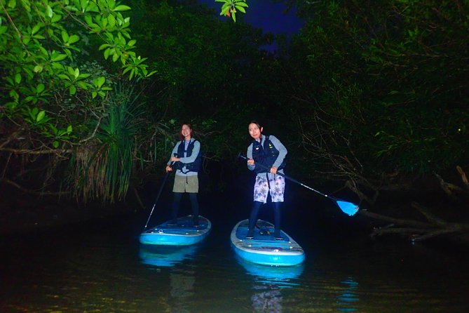 [Okinawa Iriomote] Night SUP/Canoe Tour in Iriomote Island - What To Expect and Cancellation Policy