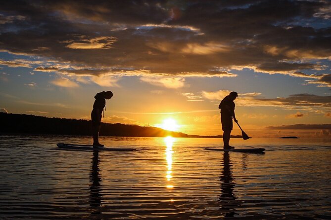 [Okinawa Iriomote] Sunset SUP/Canoe Tour in Iriomote Island - Pricing and Booking Options