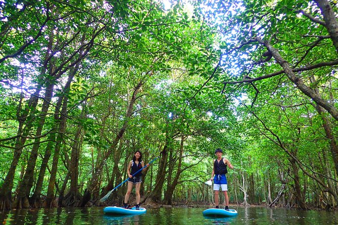 [Okinawa Iriomote] Sup/Canoe Tour in a World Heritage - Additional Information and Accessibility