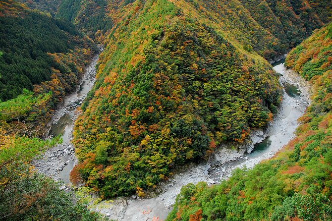 Oku-Iya Cab Plan 6 Hours Course / Tokushima, Shikoku - Oku-Iyas Double Vine Bridges