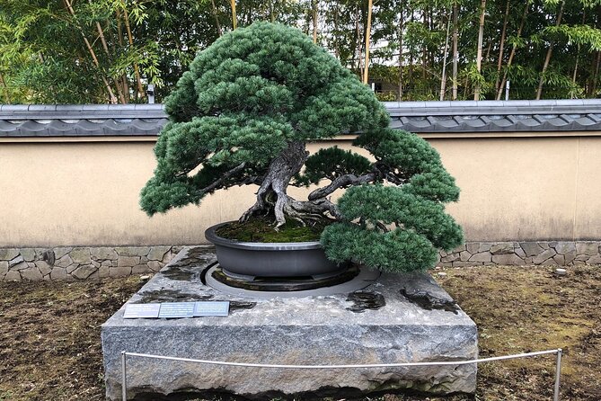 Omiya Bonsai Private Tour - End Point