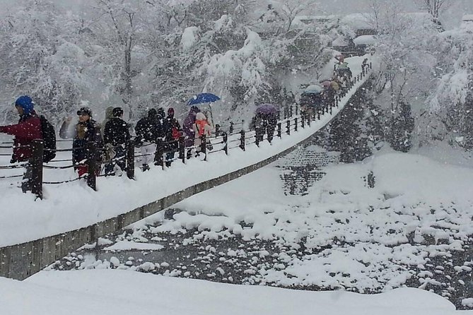 [One-Day Bus Tour Departing From Kanazawa Station] Shirakawa-Go and Gokayama - Two World Heritage Villages Enjoyable Bus Tour - Highlights of the Tour