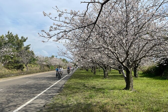 One Day E Bike Round Tour in Sakurajima - Additional Information