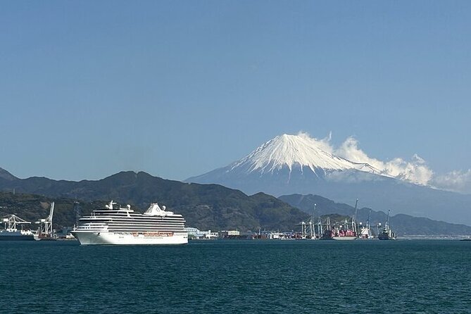 One Day Private Tour Around Shimizu Port for Cruise Passengers - Accessibility Information