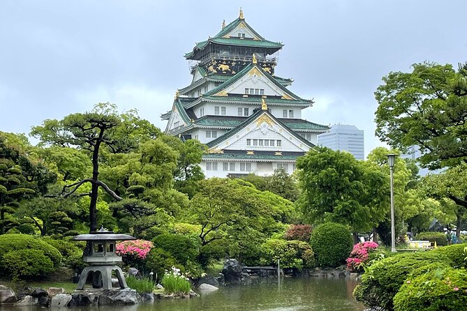 Osaka Best Spots 6h Private Tour With Licensed Guide - Guide Information