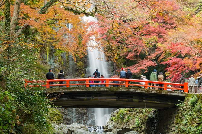 Osaka Private Food Tours by Local Foodies: 100% Personalized - Cancellation Policy Information