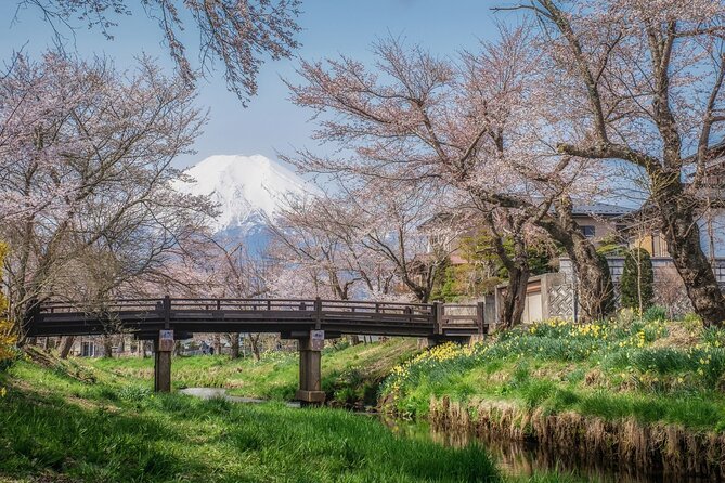 Oshino Hakkai and Hot Spring Trip From Tokyo to Mt. Fuji - Customer Reviews