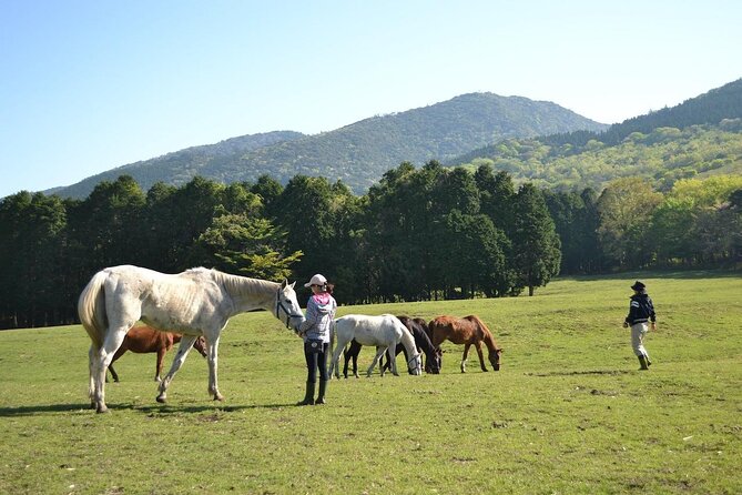 Pasture Hike With Horse Whisperer at Horse Trust in Kagoshima - Accessibility Details