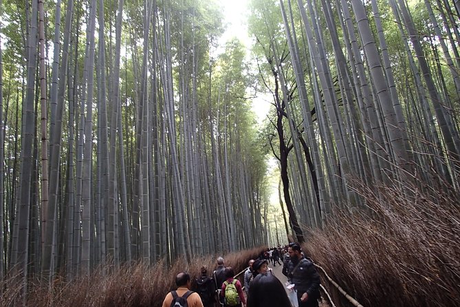 Private 1 Day Kyoto Tour Including Arashiyama Bamboo Grove and Golden Pavillion - Inclusions and Exclusions