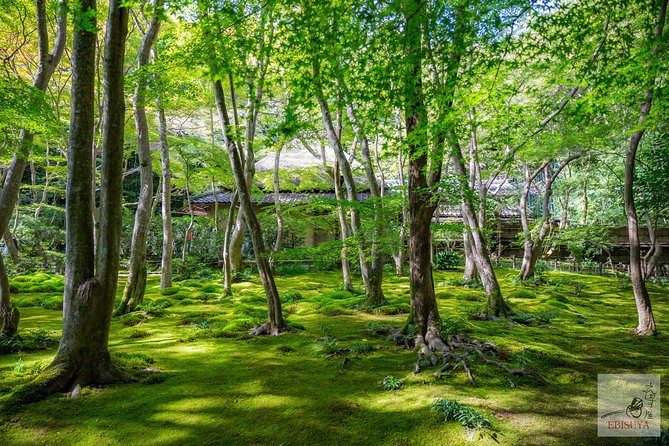 Private 3-hour Kyoto Arashiyama Rickshaw Tour - Tour Restrictions