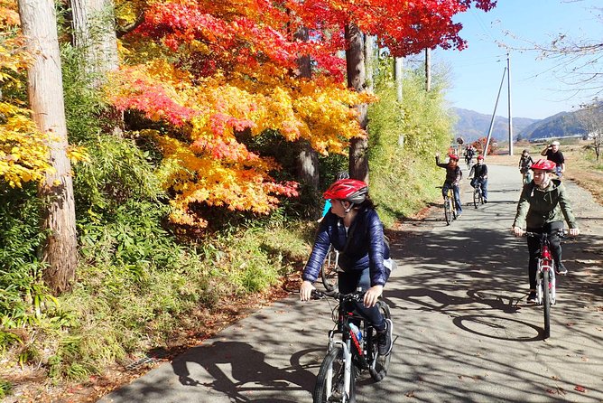 Private Afternoon Cycling Tour in Hida-Furukawa - Local Guide and Insights