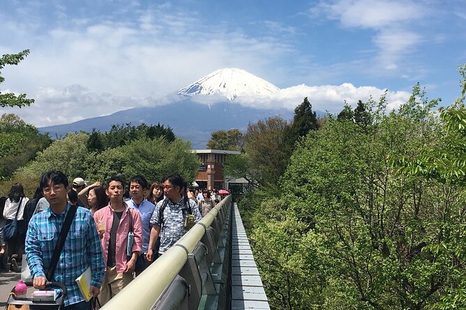 Private Car Mt Fuji and Gotemba Outlet in One Day From Tokyo - Customer Testimonials