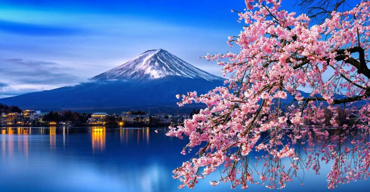 Private Day Trip to Mt. Fuji & Hakone Cherry Blossoms - Experience Highlights