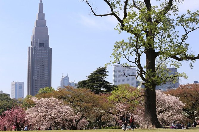 Private Departure Transfer : Central Tokyo City to Narita International Airport - Price and Booking